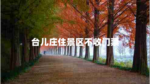 臺兒莊住景區(qū)不收門票 臺兒莊住景區(qū)不收門票