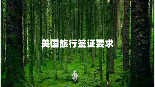美國旅行簽證要求