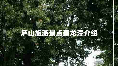 廬山旅游景點(diǎn)碧龍?zhí)督榻B