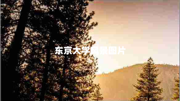 東京大學風景圖片