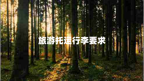 旅游托運行李要求