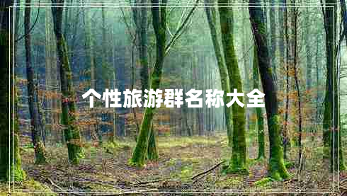 個性旅游群名稱大全