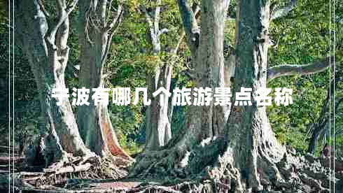 寧波有哪幾個(gè)旅游景點(diǎn)名稱(chēng)