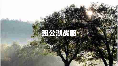 班公湖戰(zhàn)略