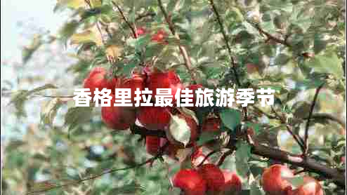 香格里拉最佳旅游季節(jié)