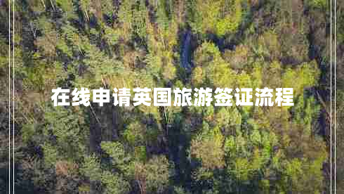 在線申請(qǐng)英國(guó)旅游簽證流程