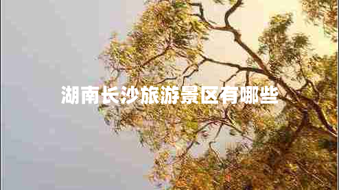 湖南長沙旅游景區(qū)有哪些