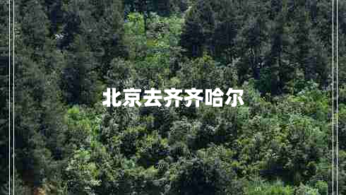 北京去齊齊哈爾 北京去齊齊哈爾