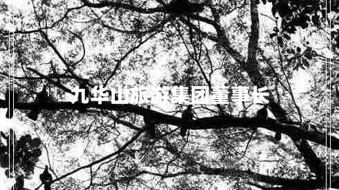 九華山旅游集團(tuán)董事長(zhǎng)