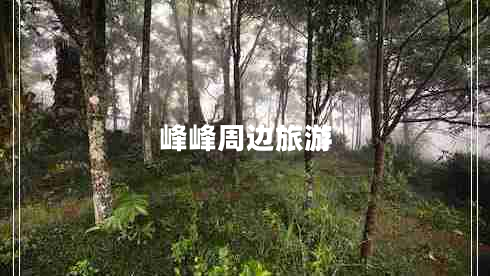 峰峰周邊旅游