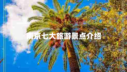 南京七大旅游景點(diǎn)介紹