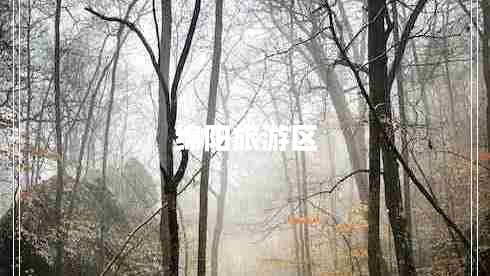 綿陽旅游區(qū)