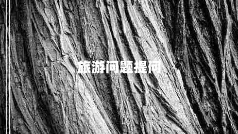旅游問題提問