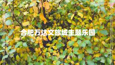 合肥萬達文旅城主題樂園