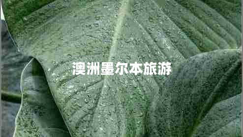 澳洲墨爾本旅游