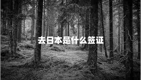 去日本是什么簽證