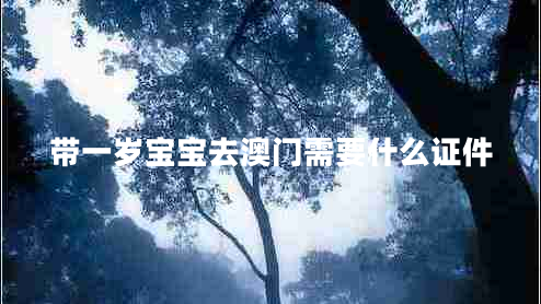 帶一歲寶寶去澳門需要什么證件