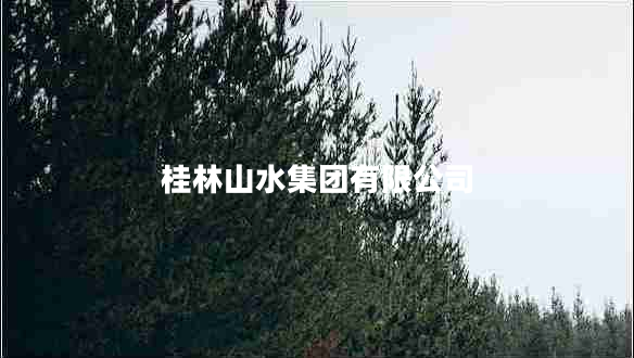 桂林山水集團(tuán)有限公司