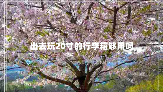 出去玩20寸的行李箱夠用嗎 出去玩20寸的行李箱夠用嗎