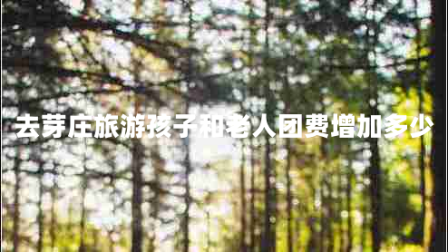 去芽莊旅游孩子和老人團(tuán)費(fèi)增加多少