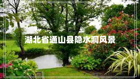 湖北省通山縣隱水洞風(fēng)景