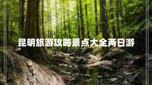 昆明旅游攻略景點大全兩日游