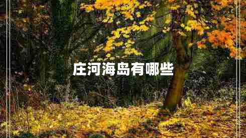 莊河海島有哪些 莊河海島有哪些