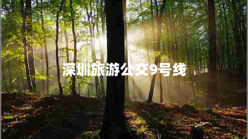 深圳旅游公交9號線