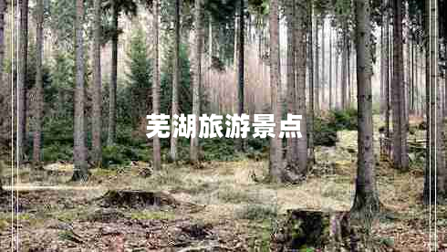 蕪湖旅游景點(diǎn)