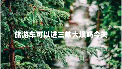 旅游車可以進三峽大壩嗎今天 旅游車可以進三峽大壩嗎今天
