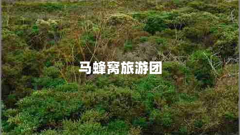 馬蜂窩旅游團