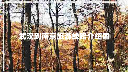 武漢到南京旅游線路介紹圖 武漢到南京旅游線路介紹圖