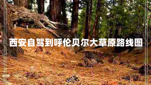 西安自駕到呼倫貝爾大草原路線圖