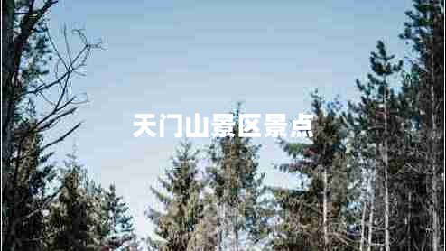 天門山景區(qū)景點(diǎn)
