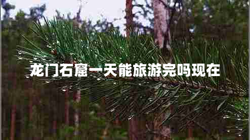 龍門石窟一天能旅游完嗎現(xiàn)在