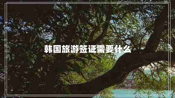 韓國旅游簽證需要什么 韓國旅游簽證需要什么