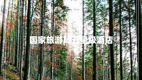 國家旅游局五星級酒店 國家旅游局五星級酒店