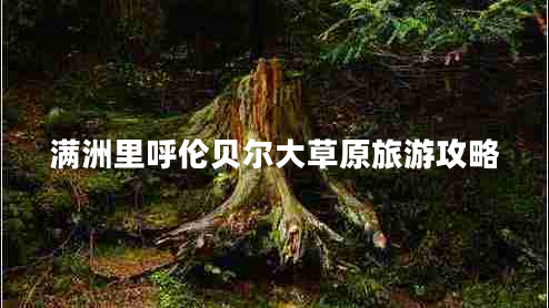 滿洲里呼倫貝爾大草原旅游攻略 滿洲里呼倫貝爾大草原旅游攻略