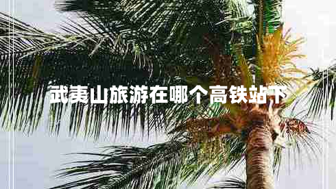 武夷山旅游在哪個(gè)高鐵站下