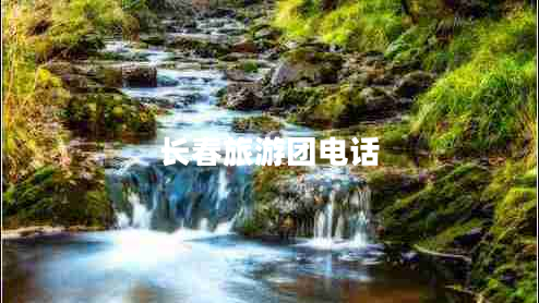 長(zhǎng)春旅游團(tuán)電話