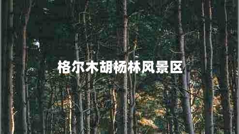 格爾木胡楊林風(fēng)景區(qū)