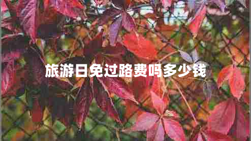 旅游日免過路費嗎多少錢