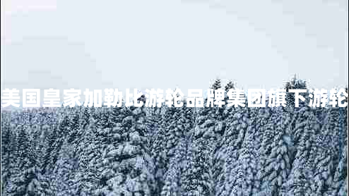 美國皇家加勒比游輪品牌集團(tuán)旗下游輪