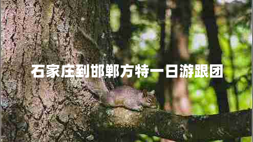 石家莊到邯鄲方特一日游跟團(tuán)