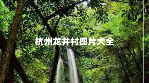 杭州龍井村圖片大全