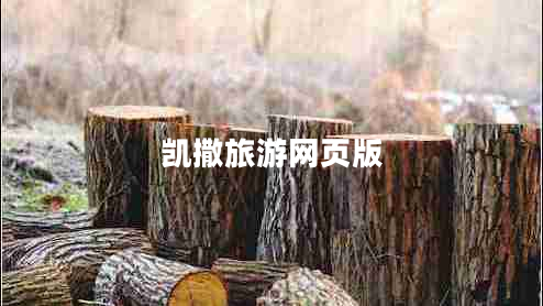 凱撒旅游網(wǎng)頁版