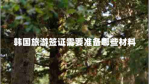 韓國旅游簽證需要準(zhǔn)備哪些材料
