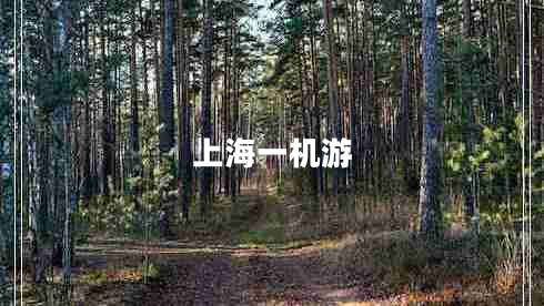 上海一機(jī)游
