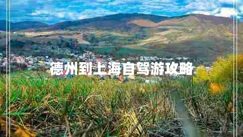 德州到上海自駕游攻略 德州到上海自駕游攻略