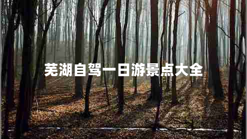 蕪湖自駕一日游景點(diǎn)大全 蕪湖自駕一日游景點(diǎn)大全